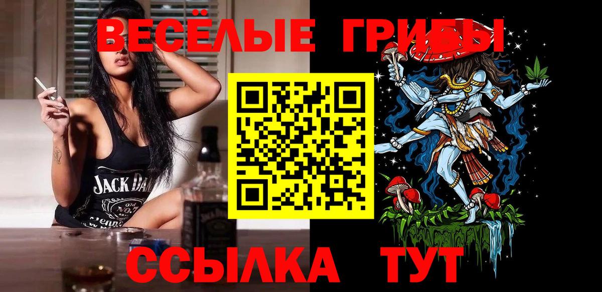 Галлюциногенные грибы Psilocybe Аргун