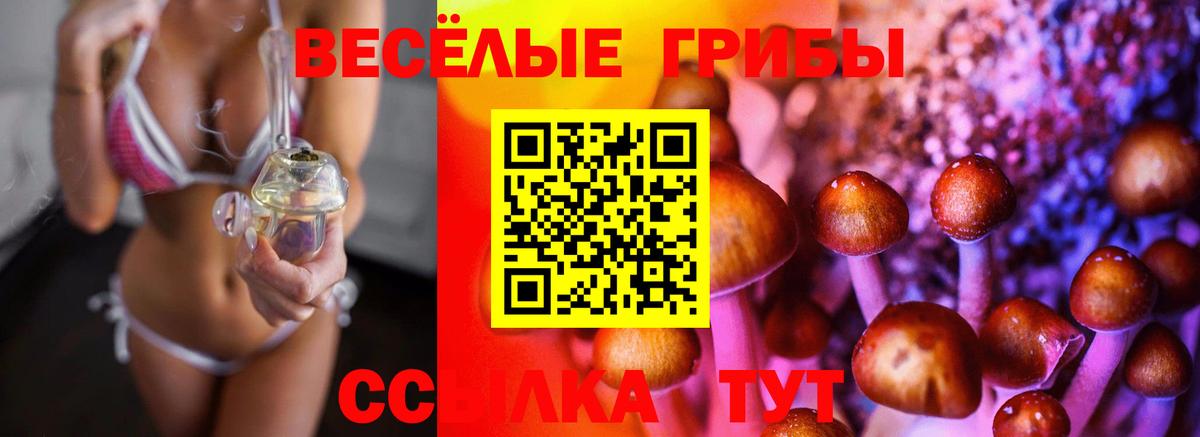 Аргун  Галлюциногенные грибы Psilocybe  Вход с VPN 